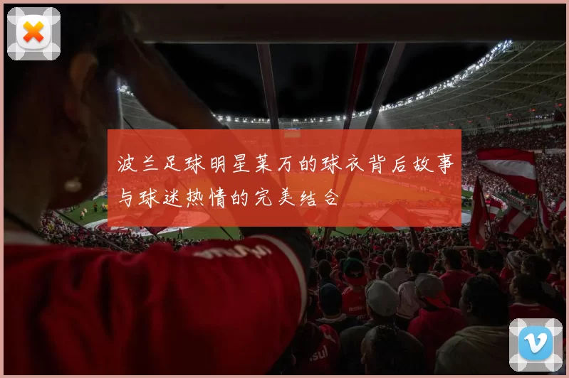 波兰足球明星莱万的球衣背后故事与球迷热情的完美结合