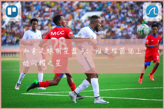 加拿足球明星盘点：谁是绿茵场上的闪耀之星