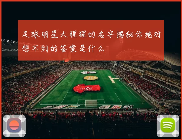 足球明星大猩猩的名字揭秘你绝对想不到的答案是什么