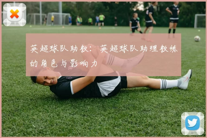 英超球队助教：英超球队助理教练的角色与影响力