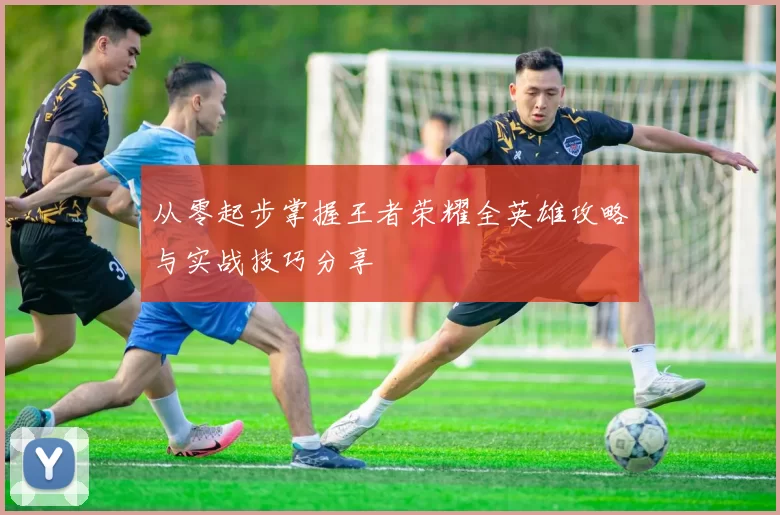 从零起步掌握王者荣耀全英雄攻略与实战技巧分享