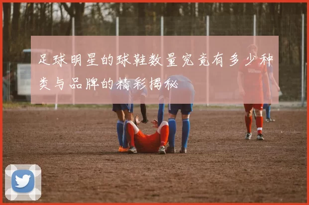 足球明星的球鞋数量究竟有多少种类与品牌的精彩揭秘