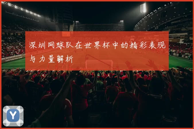 深圳网球队在世界杯中的精彩表现与力量解析
