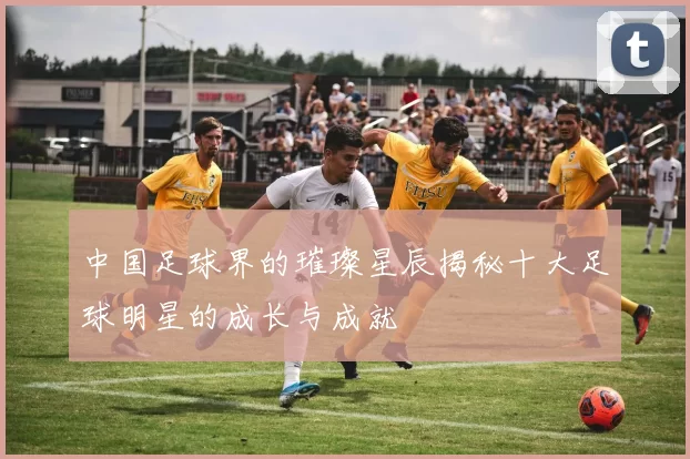中国足球界的璀璨星辰揭秘十大足球明星的成长与成就