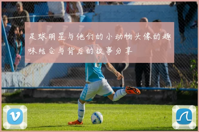 足球明星与他们的小动物头像的趣味结合与背后的故事分享