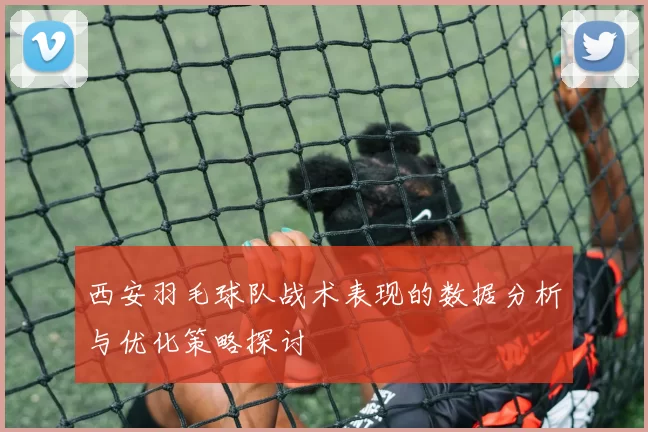 西安羽毛球队战术表现的数据分析与优化策略探讨