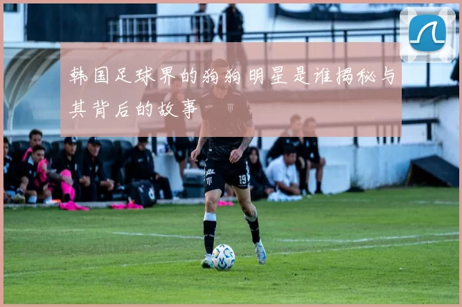 韩国足球界的狗狗明星是谁揭秘与其背后的故事