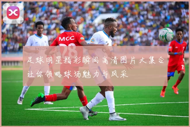 足球明星精彩瞬间高清图片大集合让你领略球场魅力与风采