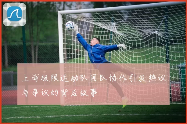 上海极限运动队团队协作引发热议与争议的背后故事