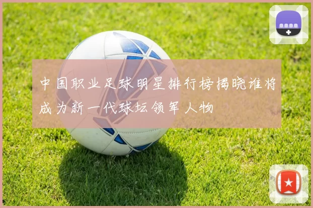中国职业足球明星排行榜揭晓谁将成为新一代球坛领军人物