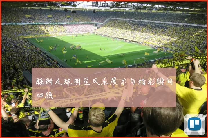 脏辫足球明星风采展示与精彩瞬间回顾