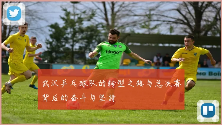 武汉乒乓球队的转型之路与总决赛背后的奋斗与坚持