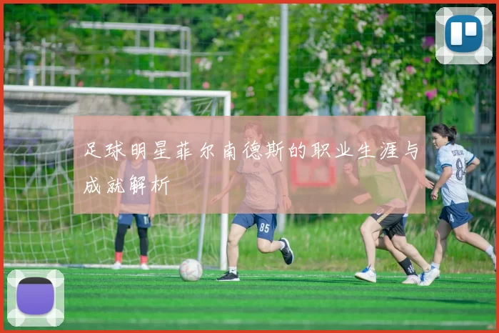 足球明星菲尔南德斯的职业生涯与成就解析
