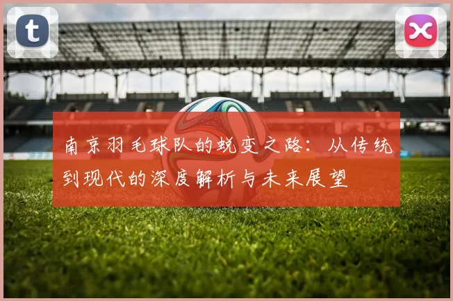 南京羽毛球队的蜕变之路：从传统到现代的深度解析与未来展望