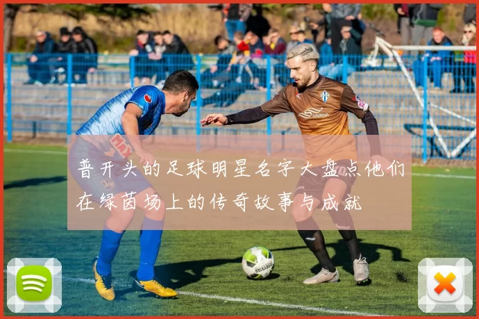 普开头的足球明星名字大盘点他们在绿茵场上的传奇故事与成就