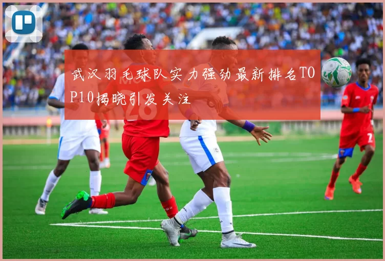 武汉羽毛球队实力强劲最新排名TOP10揭晓引发关注