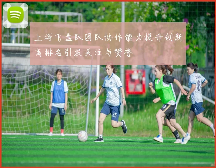 上海飞盘队团队协作能力提升创新高排名引发关注与赞誉