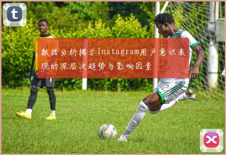 数据分析揭示Instagram用户意识表现的深层次趋势与影响因素
